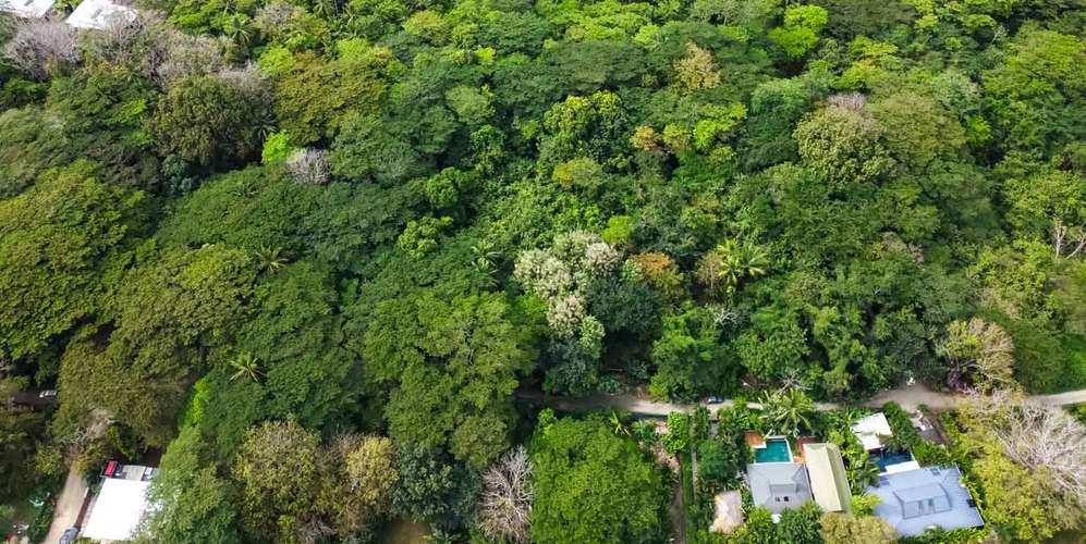 Lote frente al mar en Playa Hermosa Santa Teresa - oportunidad única - Imagen 4