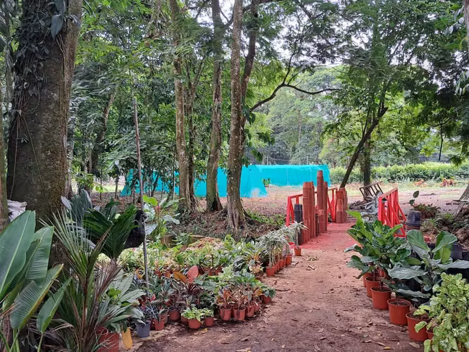 Quinta con Negocio de Vivero en Sarapiquí