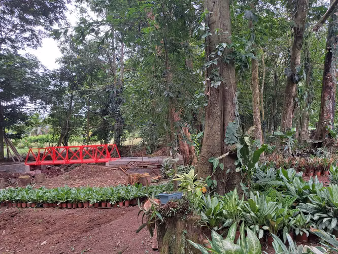 Quinta con Negocio de Vivero en Sarapiquí