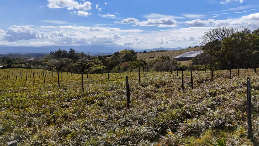 LOTES EN VENTA CON VISTAS PANORAMICAS  -  SABANA REDONDA DE POAS