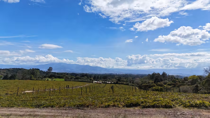 LOTES EN VENTA CON VISTAS PANORAMICAS  -  SABANA REDONDA DE POAS