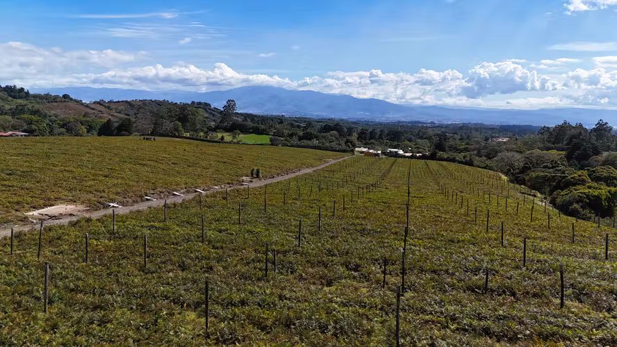 LOTES EN VENTA CON VISTAS PANORAMICAS  -  SABANA REDONDA DE POAS