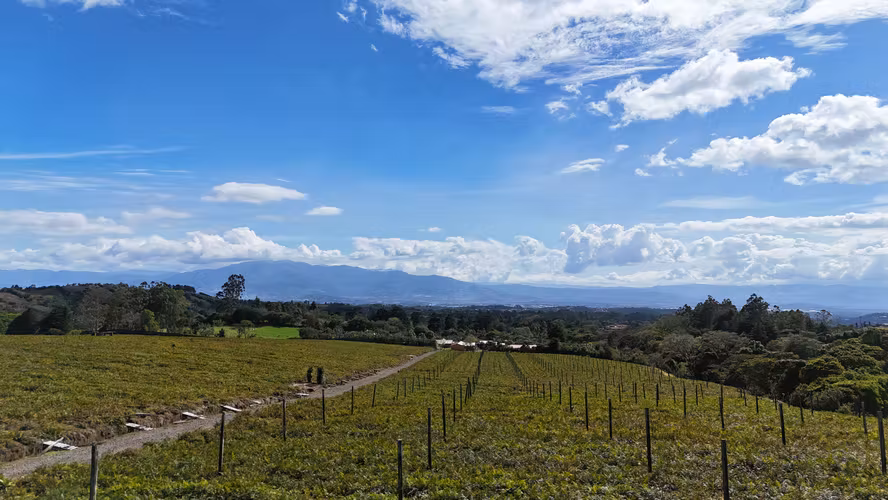 LOTES EN VENTA CON VISTAS PANORAMICAS  -  SABANA REDONDA DE POAS
