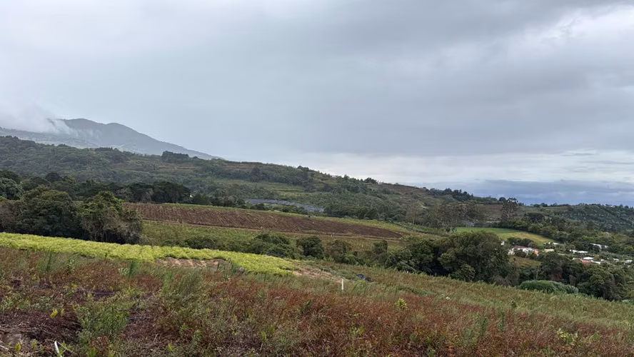 LOTES EN VENTA CON VISTAS PANORAMICAS  -  SABANA REDONDA DE POAS