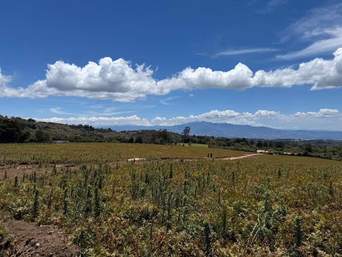 LOTES EN VENTA CON VISTAS PANORAMICAS  -  SABANA REDONDA DE POAS