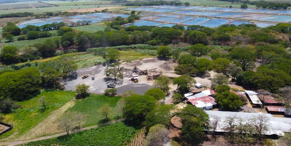 Finca en Cañas Guanacaste - acceso canal riego - producción agrícola