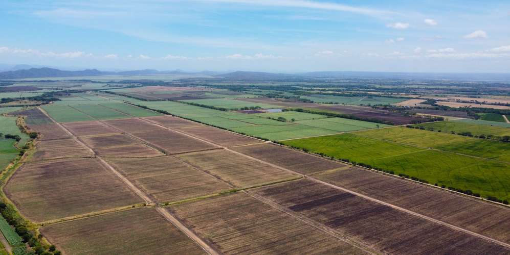 Farm Estate in Cañas Guanacaste - Permanent Water Access - Income
