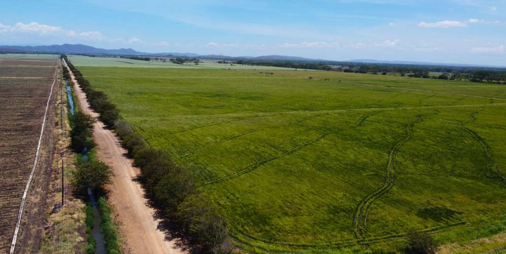 Finca en Cañas Guanacaste - acceso canal riego - producción agrícola