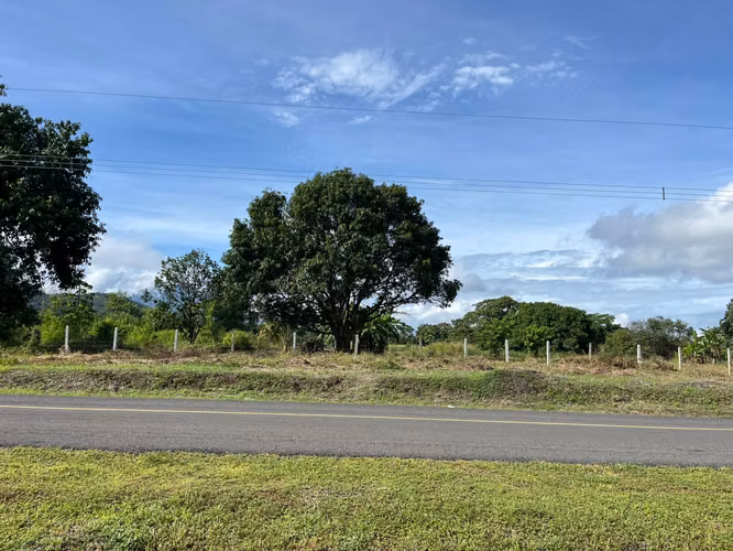 Vendo 5 hectáreas en Orotina, uso suelo residencial y comercial - Imagen 9