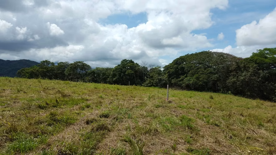 Vendo 5 hectáreas en Orotina, uso suelo residencial y comercial - Imagen 6
