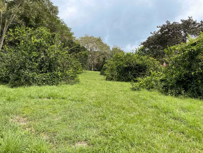 Oportunidad 3500 m2 Lote residencial, Coyolar, Orotina. (FAU) - Imagen 2