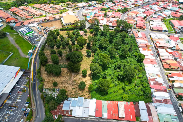 VENDE Terreno MIXTO ,  San Francisco de Heredia. (FAU)