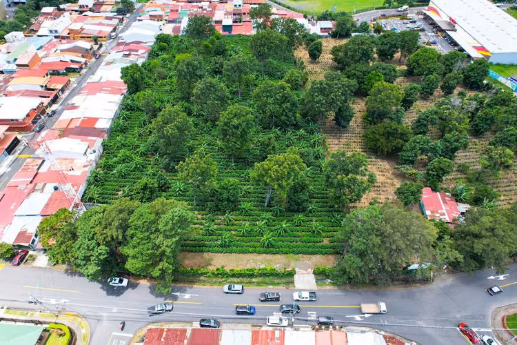 VENDE Terreno MIXTO ,  San Francisco de Heredia. (FAU)