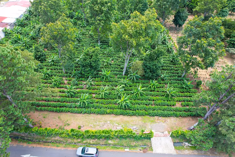 VENDE Terreno MIXTO ,  San Francisco de Heredia. (FAU)