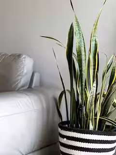 The Serenity Loft | Warm & Quiet Loft - Imagen 13