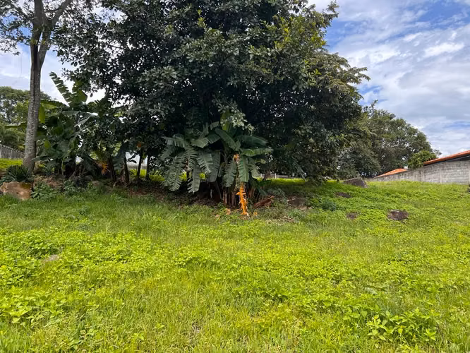 Venta de Lotes Llanos de Coyol / Alajuela