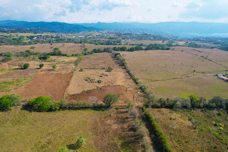 Se vende Terreno para Bodegas Agroindustriales o Predio, Coyol. (FAU) - Imagen 3
