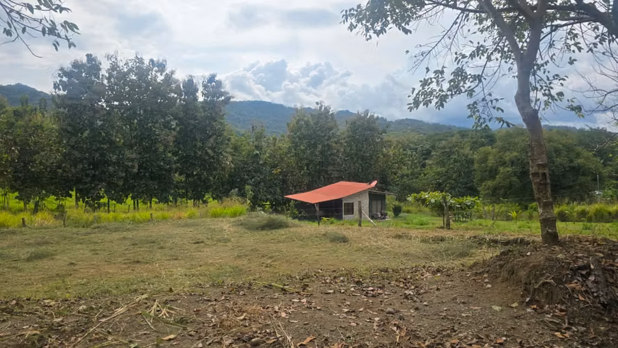 Venta Lote en Playa Naranjo