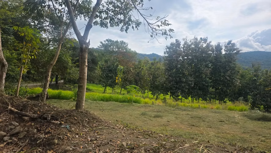 Venta Lote en Playa Naranjo