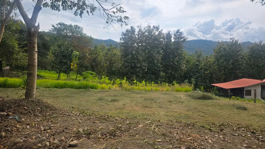 Venta Lote en Playa Naranjo