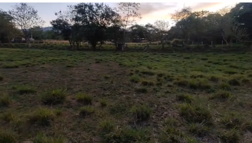 VENTA LOTE LISTO PARA DESARROLLAR - Imagen 6