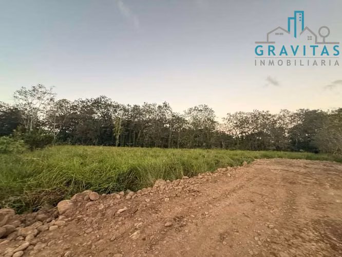 Venta de terrenos Industriales en San Carlos Muelle de 5000m2 ID 1877 - Imagen 14