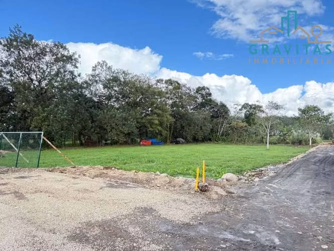 Venta de terrenos Industriales en San Carlos Muelle de 5000m2 ID 1877 - Imagen 11