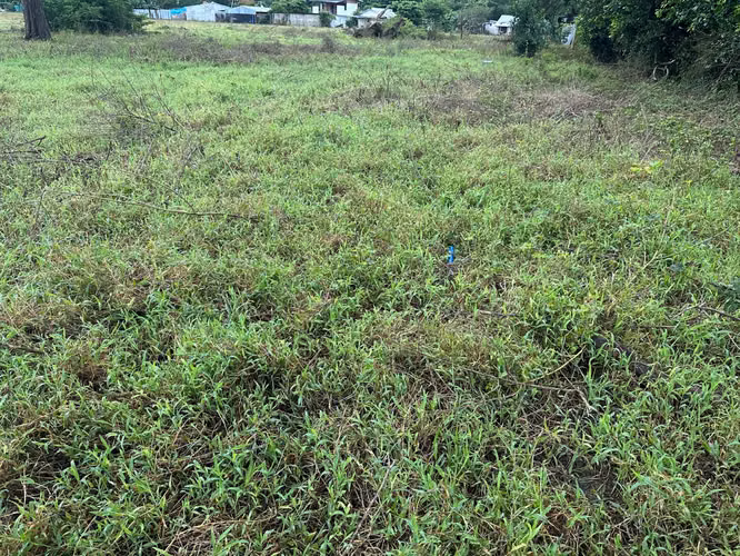 Venta de terreno en Palmira Guanacaste, ideal para convertirlo en parcelas. - Imagen 6