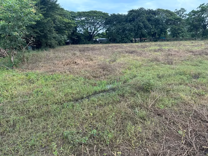 Venta de terreno en Palmira Guanacaste, ideal para convertirlo en parcelas. - Imagen 3