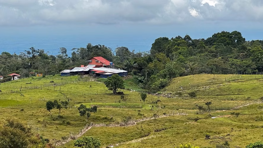 INVEST IN A UNIQUE FARM IN THE MOUNTAINS OF TURRIALBA  6014