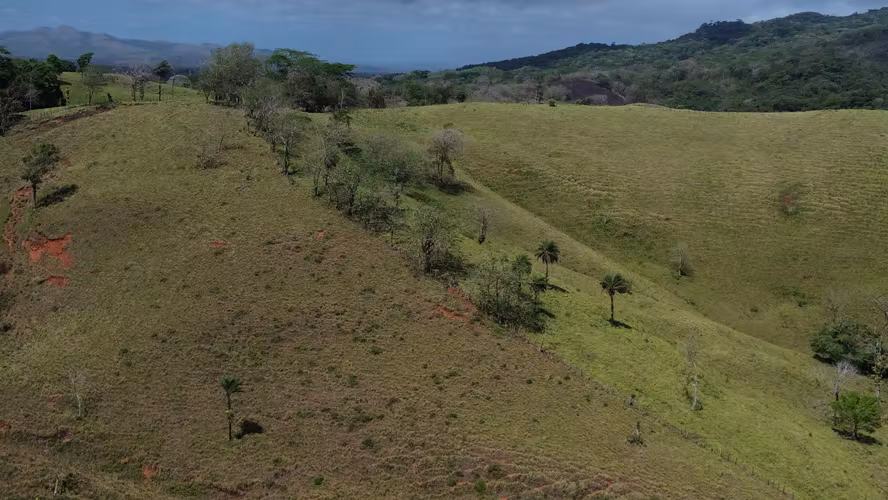 Premium 330-Hectare Cattle Ranch with Abundant Water in Guanacaste