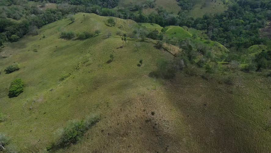 Finca Ganadera Premium de 330 Hectáreas con Abundante Agua en Guanacaste