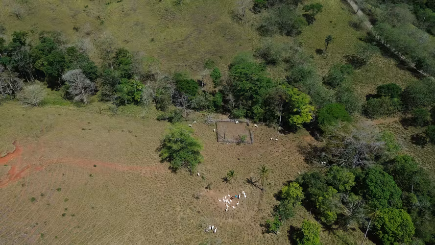Finca Ganadera Premium de 330 Hectáreas con Abundante Agua en Guanacaste