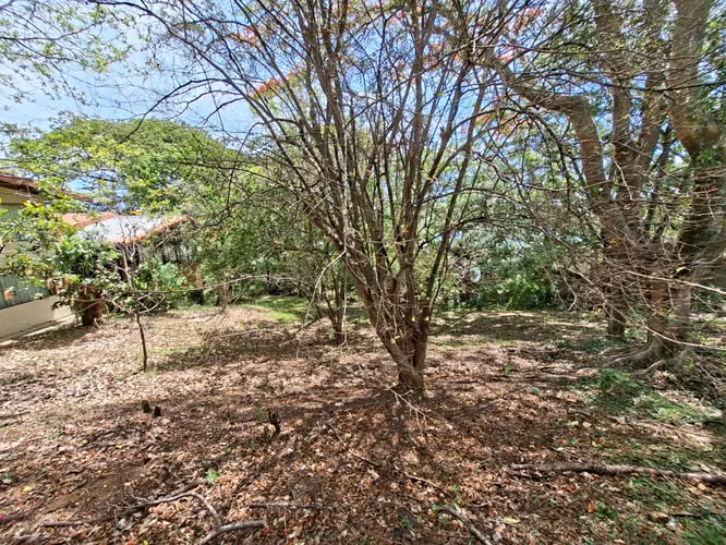 Venta de Terreno en Escazú, una de las zonas de más alta plusvalía