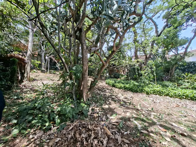 Venta de Terreno en Escazú, una de las zonas de más alta plusvalía