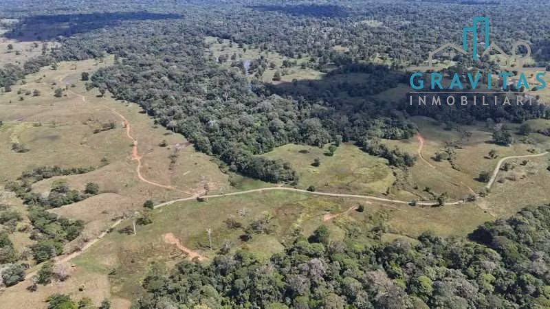 Venta de finca en Pital, San Carlos 923 hectáreas ID 1878 - Imagen 11
