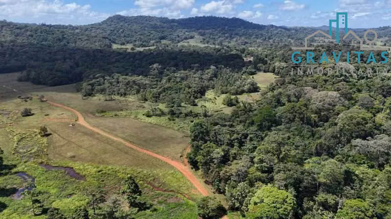 Venta de finca en Pital, San Carlos 923 hectáreas ID 1878 - Imagen 8