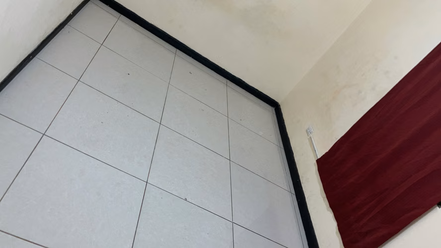 zapote centro - Imagen 4