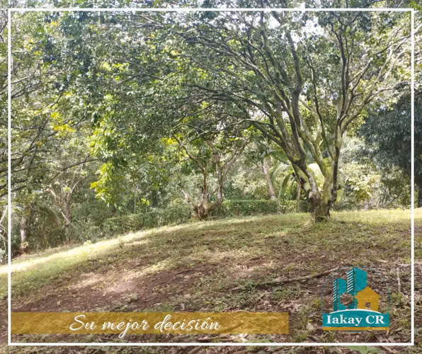 VENTA OPORTUNIDAD TERRENO RECTANGULAR ESPARZA