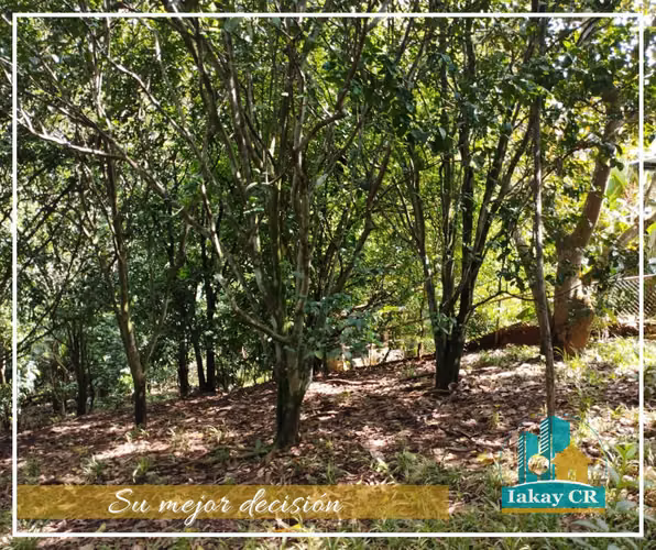 VENTA OPORTUNIDAD TERRENO RECTANGULAR ESPARZA
