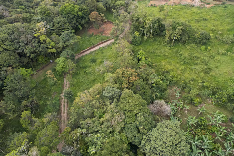 Finca Privada con Vista al Lago Arenal y Volcán en Tilarán - Imagen 5
