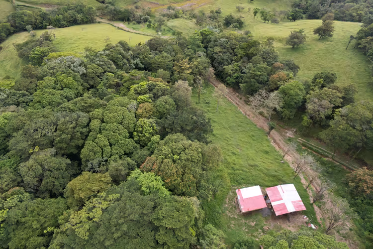 Finca Privada con Vista al Lago Arenal y Volcán en Tilarán - Imagen 4