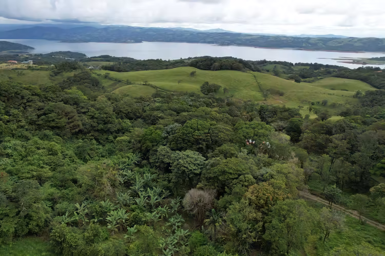 Finca Privada con Vista al Lago Arenal y Volcán en Tilarán - Imagen 10
