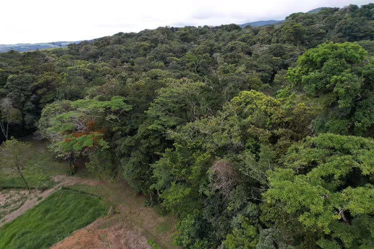 Finca Privada con Vista al Lago Arenal y Volcán en Tilarán - Imagen 14