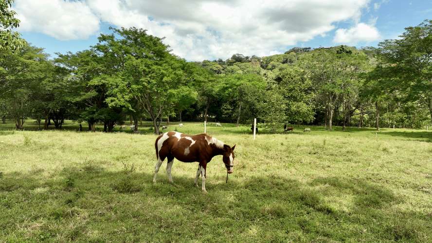 Lote Natural con Río Cerca de las Mejores Playas de Guanacaste
