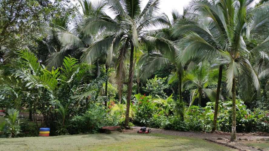 Finca en Venta. Huetares de Río Frío. Sarapiquí. - Imagen 13