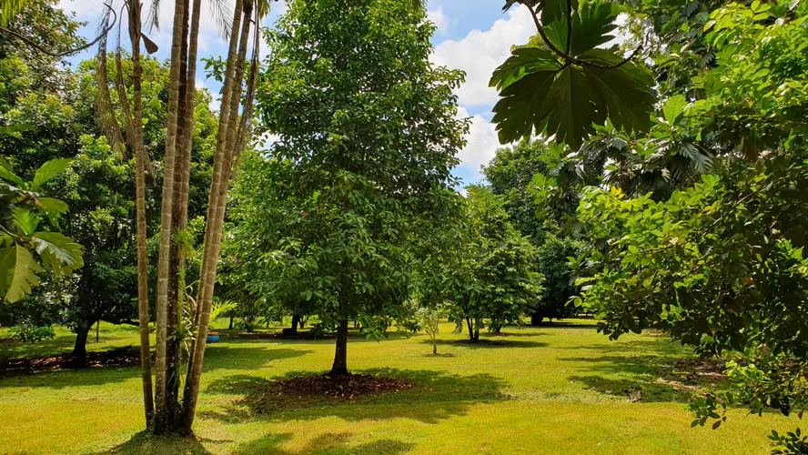 Finca en Venta. Huetares de Río Frío. Sarapiquí.