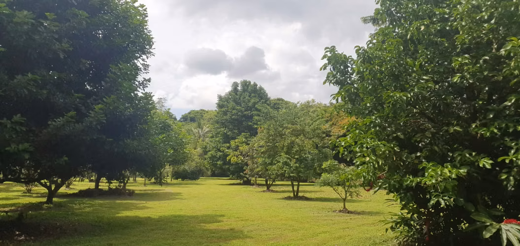Finca en Venta. Huetares de Río Frío. Sarapiquí.