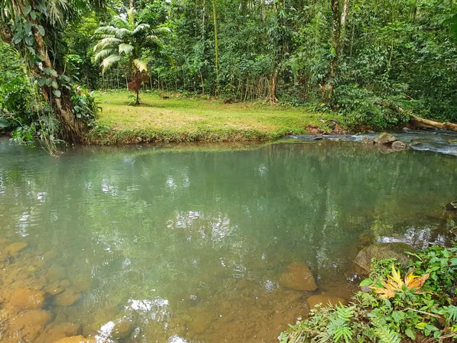 Finca en Venta. Huetares de Río Frío. Sarapiquí.