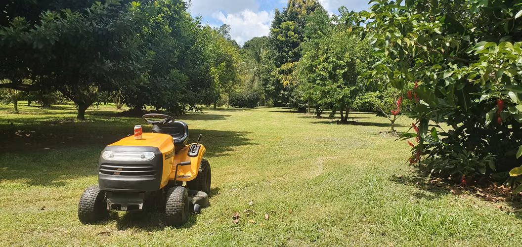 Finca en Venta. Huetares de Río Frío. Sarapiquí.
